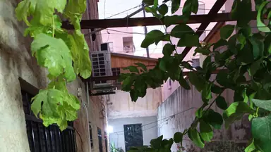 شقة - عمان _جرينين الجنوبي  - 46000 دأ